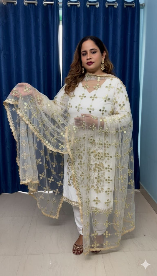 Posheeda net Dupatta
